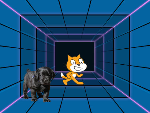 cool cat