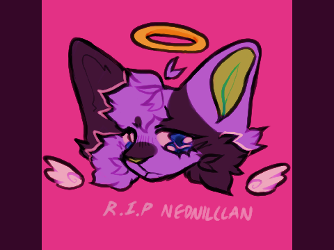 rip nednilclan