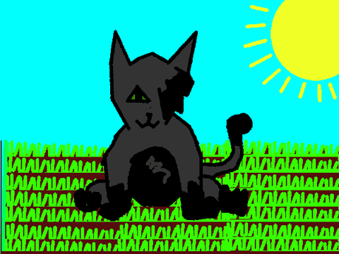 My Warrior Cat and Med Cat Moonshadow