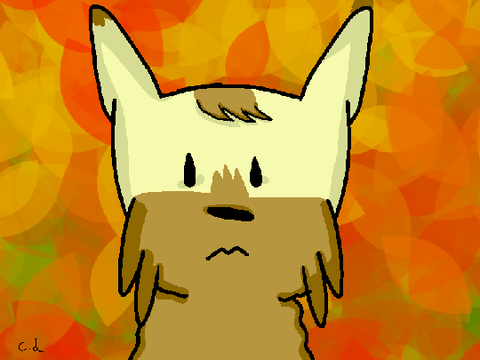 Soft'Paw