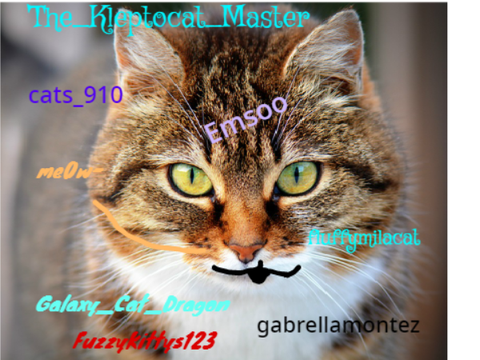 Sign Here If You Love Cats remix remix