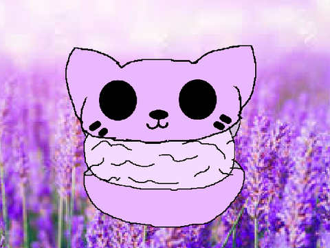 Random Cat Macaroon Art