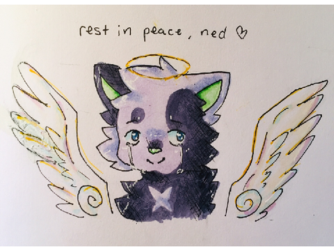 tribute to ned