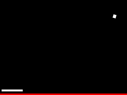 Pong