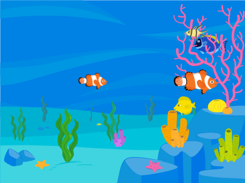 Life of a fish :P