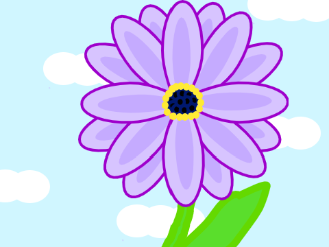 Purple Daisy Speed Draw
