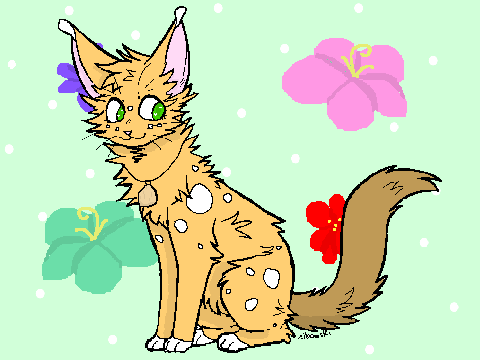 ❈solo❈ CC Entry