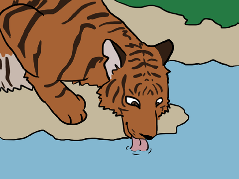 Endangered Animals 7- South China Tiger