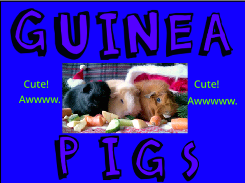 Guinea Pigs!