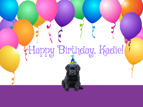 Happy Birthday Kadie!