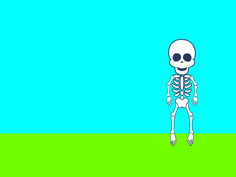 THE BONES
