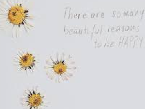 ☀︎