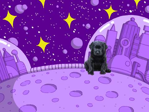 Space Dog Adventures: Introducing the The Resistance