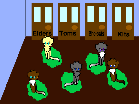 Warrior Cat Breeding Center