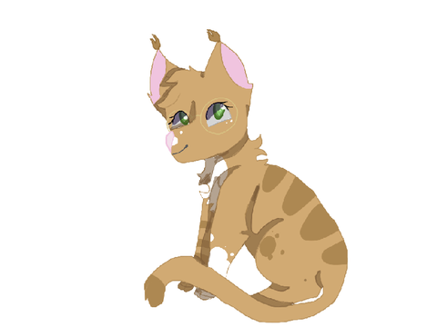 Lynx