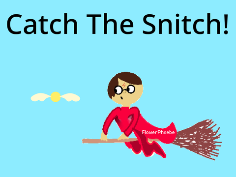 Catch the Snitch!