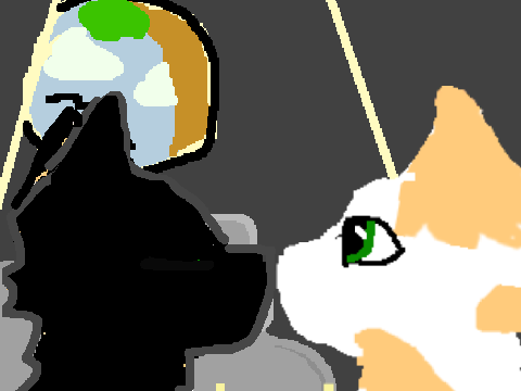 Part 12: HollyLeaf Map