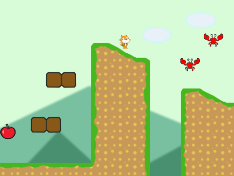 Platformer