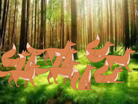 Foxes Marching