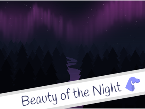 Beauty of the Night || Art
