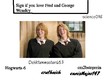 Do you like Fred and George Weasley??