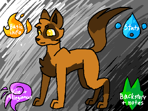 timberpaw