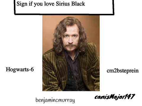 Do you love Sirius Black??