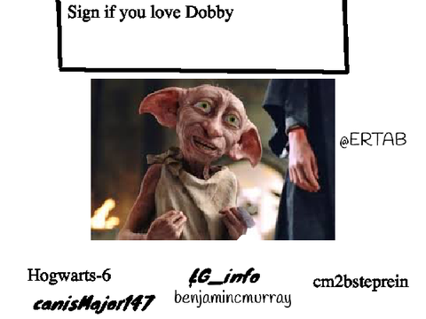 Do you love Dobby??