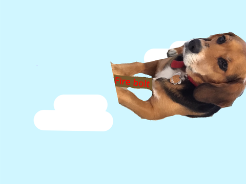 Harry pupper 