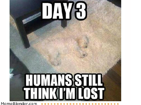 FUNNY MEMES 2!!!!!!!!!!!!!!!! remix