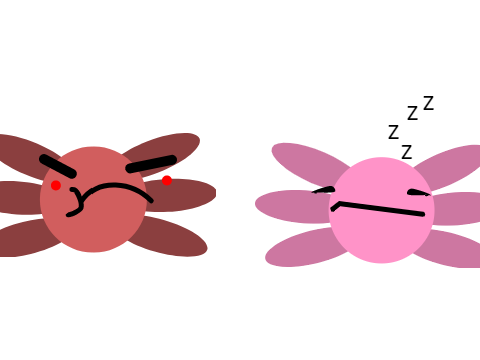 Axolotls