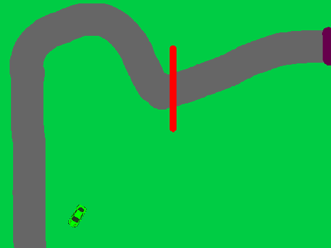 race 