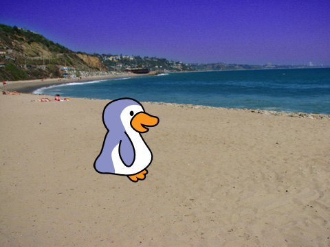 Penguin Patter