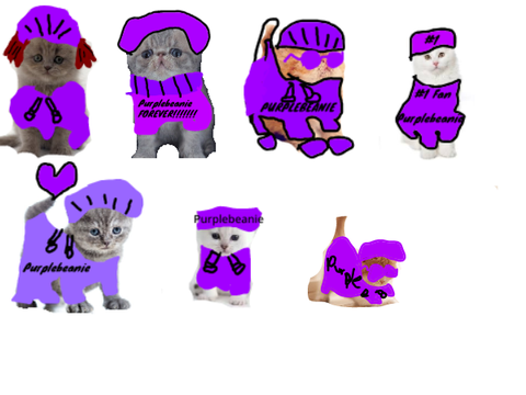 Purplebeanie fan shoutouts