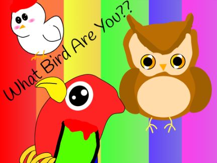 Bird Quiz!!