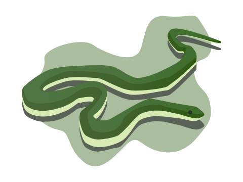 Snek Boi