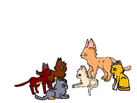 Blazestar and kits for @HeatherheartHolly