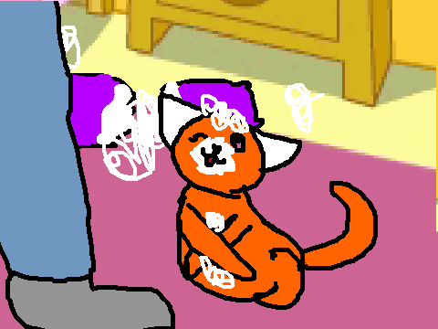 cute cat