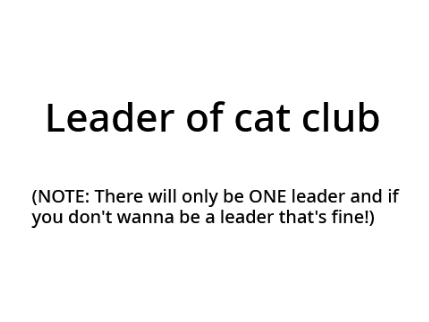 LEADER of cat club OPEN