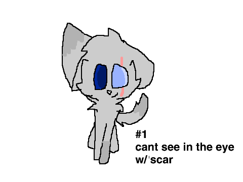 Cat Adopts! 10/10 Entry ScarFace