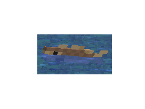 C O D (For -MaximumVelocity-)