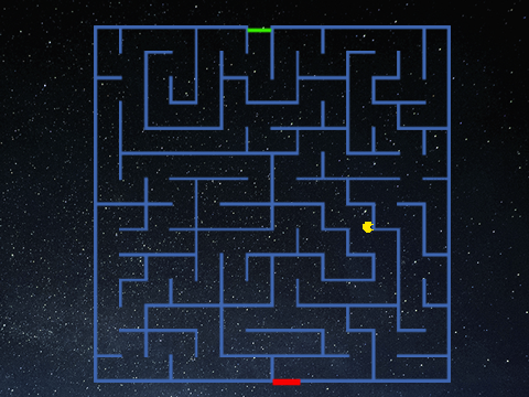 The maze challenge
