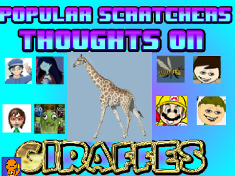 Popular Scratchers Thoughts On Giraffes!