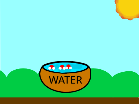 Water Evaporation