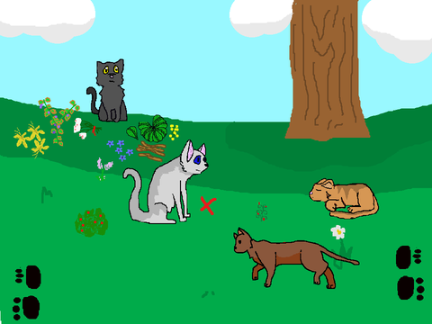 Warrior cat game!