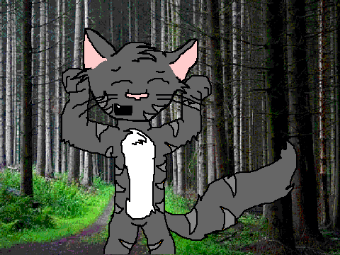 Cinderpelt Caramelldansen