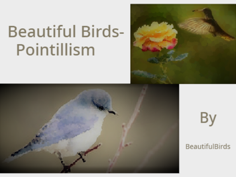 Birds- Interactive Pointillism