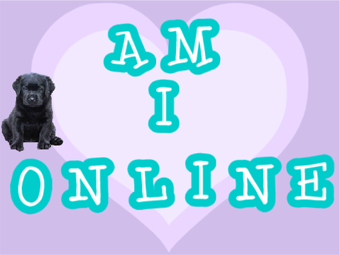 Am i online?