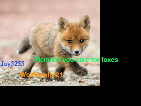 Remix if you care for foxes remix remix remix remix remix remix remix