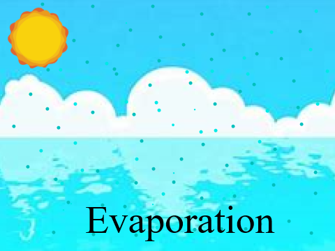 The Water Cycle
